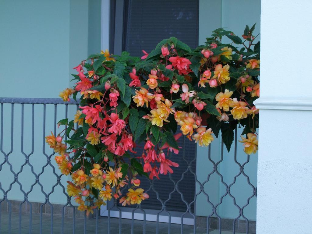 Rajna Vendeghaz Villa โบกาช ภายนอก รูปภาพ