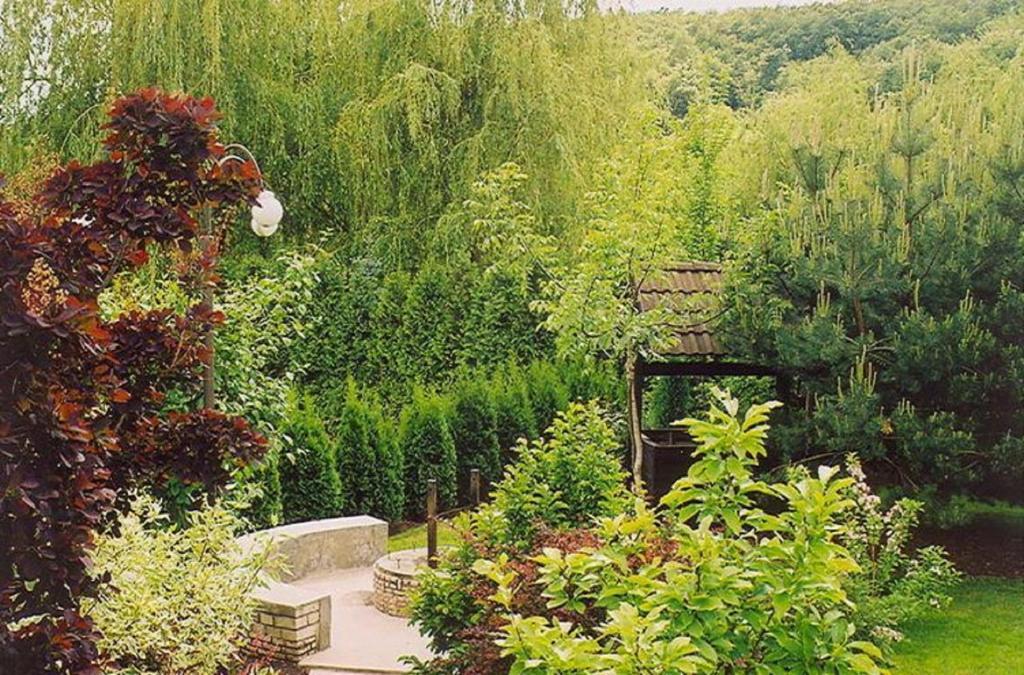 Rajna Vendeghaz Villa โบกาช ห้อง รูปภาพ